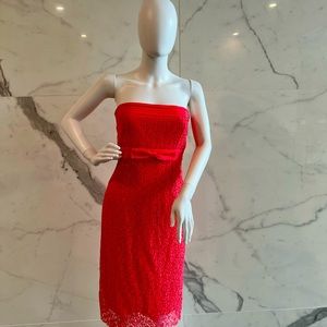 Elegant Strapless Lace Dress